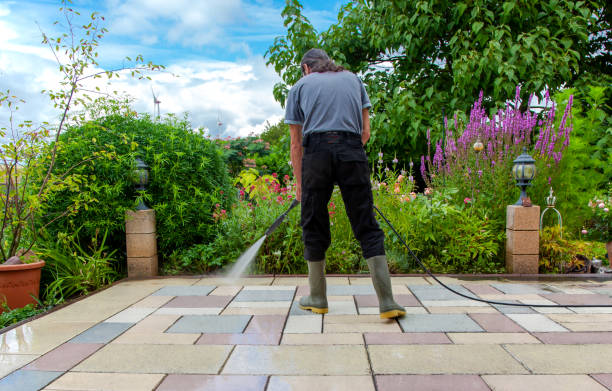 Best Driveway Pressure Washing  in Big Le, AK